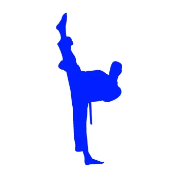 Polep vozidla Karate 005 levá (19 - modrá dynamic) SAMOLEPKA NA AUTO, NÁLEPKA, FÓLIE, POLEP, TUNING, VLASTNÍ TEXT, TISK, AUTOSAMOLEPKY.cz, POLEPY, OBRÁZEK, LOGO, 3D STICKERS