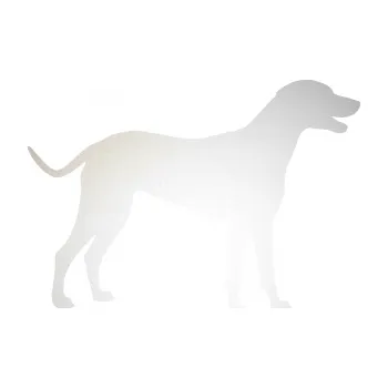 Polep vozidla SAMOLEPKA Pes 095 pravá Dalmatin (82 - odrazková reflexní bílá) NA AUTO, NÁLEPKA, FÓLIE, POLEP, TUNING, VLASTNÍ TEXT, TISK, AUTOSAMOLEPKY.cz, POLEPY, OBRÁZEK, LOGO, SAMOLEPKY