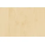 Samolepicí fólie d-c-fix bříza - metráž, šířka 45 cm 2002875 (200-2875) / Samolepící tapeta bříza d-c-fix