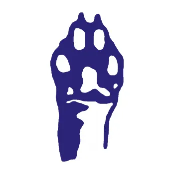 samolepka Packa 001 pravá (22 - střední modrá) SAMOLEPKA NA AUTO, NÁLEPKA, FÓLIE, POLEP, TUNING, VLASTNÍ TEXT, TISK, AUTOSAMOLEPKY.cz, POLEPY, OBRÁZEK, LOGO, 3D STICKERS