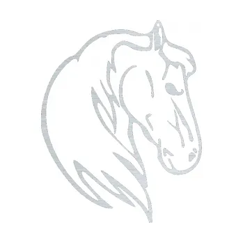 Samolepící dekorace SAMOLEPKA Kůň 026 pravá (61 - škrábaný hliník) NA AUTO, NÁLEPKA, FÓLIE, POLEP, TUNING, VLASTNÍ TEXT, TISK, AUTOSAMOLEPKY.cz, POLEPY, OBRÁZEK, LOGO, SAMOLEPKY