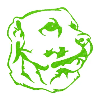 Polep vozidla Pes 104 pravá Labrador (58 - 3D karbon zelený kawasaki) SAMOLEPKA NA AUTO, NÁLEPKA, FÓLIE, POLEP, TUNING, VLASTNÍ TEXT, TISK, AUTOSAMOLEPKY.cz, POLEPY, OBRÁZEK, LOGO, 3D STICKERS