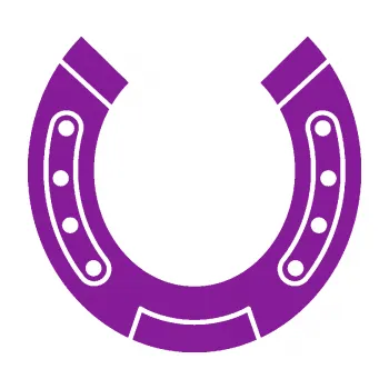 Samolepící dekorace SAMOLEPKA Koňská podkova 002 (14 - fialová) NA AUTO, NÁLEPKA, FÓLIE, POLEP, TUNING, VLASTNÍ TEXT, TISK, AUTOSAMOLEPKY.cz, POLEPY, OBRÁZEK, LOGO, SAMOLEPKY