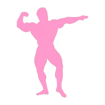 Polep vozidla Kulturista 013 pravá (24 - světle růžová) SAMOLEPKA NA AUTO, NÁLEPKA, FÓLIE, POLEP, TUNING, VLASTNÍ TEXT, TISK, AUTOSAMOLEPKY.cz, POLEPY, OBRÁZEK, LOGO, 3D STICKERS