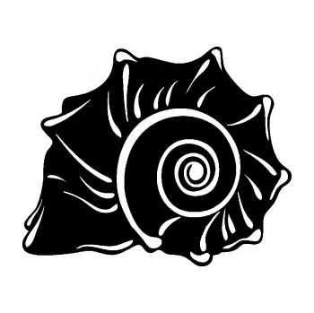 Samolepící dekorace Mušle levá ulita (01 - černá) SAMOLEPKA NA AUTO, NÁLEPKA, FÓLIE, POLEP, TUNING, VLASTNÍ TEXT, TISK, AUTOSAMOLEPKY.cz, POLEPY, OBRÁZEK, LOGO, 3D STICKERS