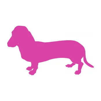 Polep vozidla SAMOLEPKA Pes 094 levá Baset (16 - růžová) NA AUTO, NÁLEPKA, FÓLIE, POLEP, TUNING, VLASTNÍ TEXT, TISK, AUTOSAMOLEPKY.cz, POLEPY, OBRÁZEK, LOGO, SAMOLEPKY