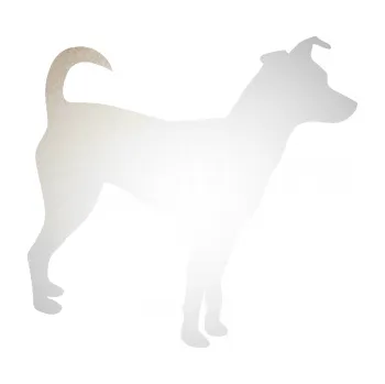 Polep vozidla SAMOLEPKA Pes 100 pravá Pražský krysařík (82 - odrazková reflexní bílá) NA AUTO, NÁLEPKA, FÓLIE, POLEP, TUNING, VLASTNÍ TEXT, TISK, AUTOSAMOLEPKY.cz, POLEPY, OBRÁZEK, LOGO, SAMOLEPKY