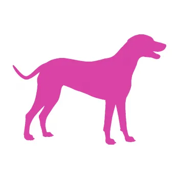 Polep vozidla SAMOLEPKA Pes 095 pravá Dalmatin (16 - růžová) NA AUTO, NÁLEPKA, FÓLIE, POLEP, TUNING, VLASTNÍ TEXT, TISK, AUTOSAMOLEPKY.cz, POLEPY, OBRÁZEK, LOGO, SAMOLEPKY