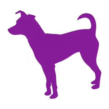 Polep vozidla SAMOLEPKA Pes 100 levá Pražský krysařík (14 - fialová) NA AUTO, NÁLEPKA, FÓLIE, POLEP, TUNING, VLASTNÍ TEXT, TISK, AUTOSAMOLEPKY.cz, POLEPY, OBRÁZEK, LOGO, SAMOLEPKY