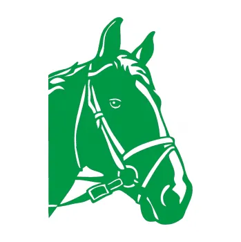 Samolepící dekorace Kůň 028 pravá hlava s uzdou (12 - zelená) SAMOLEPKA NA AUTO, NÁLEPKA, FÓLIE, POLEP, TUNING, VLASTNÍ TEXT, TISK, AUTOSAMOLEPKY.cz, POLEPY, OBRÁZEK, LOGO, 3D STICKERS