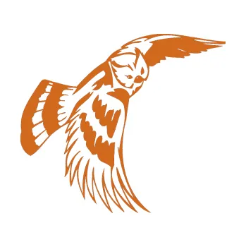 Samolepicí dekorace na vozidlo Predators 081 pravá sova (26 - oříšková) SAMOLEPKA NA AUTO, NÁLEPKA, FÓLIE, POLEP, TUNING, VLASTNÍ TEXT, TISK, AUTOSAMOLEPKY.cz, POLEPY, OBRÁZEK, LOGO, 3D STICKERS