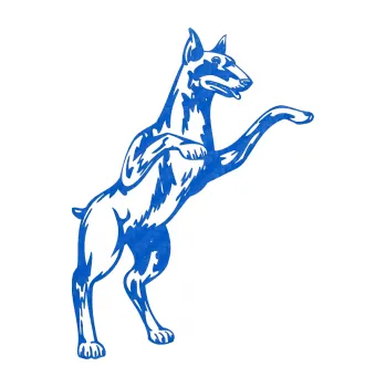 Polep vozidla SAMOLEPKA Pes 028 pravá (57 - 3D karbon modrý) NA AUTO, NÁLEPKA, FÓLIE, POLEP, TUNING, VLASTNÍ TEXT, TISK, AUTOSAMOLEPKY.cz, POLEPY, OBRÁZEK, LOGO, SAMOLEPKY