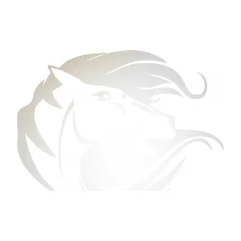 Samolepící dekorace SAMOLEPKA Kůň 070 pravá hlava s vlající hřívou (82 - odrazková reflexní bílá) NA AUTO, NÁLEPKA, FÓLIE, POLEP, TUNING, VLASTNÍ TEXT, TISK, AUTOSAMOLEPKY.cz, POLEPY, OBRÁZEK, LOGO, SAMOLEPKY