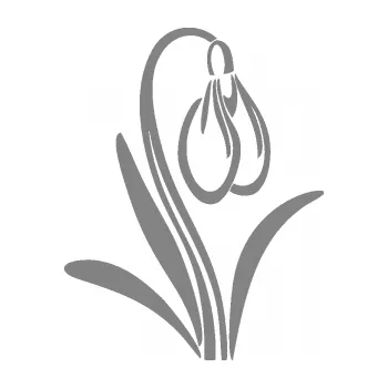 Samolepící dekorace SAMOLEPKA Květina dekor 021 pravá sněženka (17 - šedá) NA AUTO, NÁLEPKA, FÓLIE, POLEP, TUNING, VLASTNÍ TEXT, TISK, AUTOSAMOLEPKY.cz, POLEPY, OBRÁZEK, LOGO, SAMOLEPKY