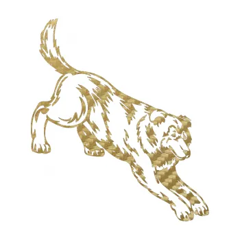 Polep vozidla SAMOLEPKA Pes 044 pravá (59 - 3D karbon zlatý) NA AUTO, NÁLEPKA, FÓLIE, POLEP, TUNING, VLASTNÍ TEXT, TISK, AUTOSAMOLEPKY.cz, POLEPY, OBRÁZEK, LOGO, SAMOLEPKY