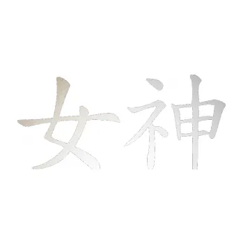 Polep vozidla SAMOLEPKA Čínský znak Goddess (82 - odrazková reflexní bílá) NA AUTO, NÁLEPKA, FÓLIE, POLEP, TUNING, VLASTNÍ TEXT, TISK, AUTOSAMOLEPKY.cz, POLEPY, OBRÁZEK, LOGO, SAMOLEPKY