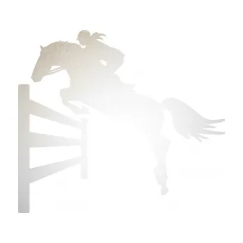 Samolepící dekorace SAMOLEPKA Kůň 080 levá skok přes překážku (82 - odrazková reflexní bílá) NA AUTO, NÁLEPKA, FÓLIE, POLEP, TUNING, VLASTNÍ TEXT, TISK, AUTOSAMOLEPKY.cz, POLEPY, OBRÁZEK, LOGO, SAMOLEPKY