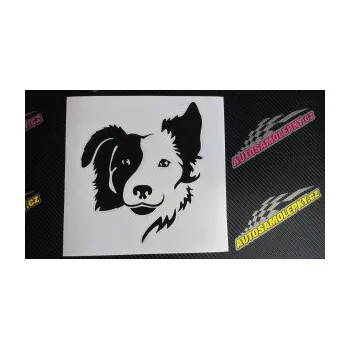 Polep vozidla Pes 099 pravá Border kolie (12 - zelená) SAMOLEPKA NA AUTO, NÁLEPKA, FÓLIE, POLEP, TUNING, VLASTNÍ TEXT, TISK, AUTOSAMOLEPKY.cz, POLEPY, OBRÁZEK, LOGO, 3D STICKERS