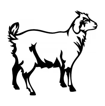 Samolepící dekorace SAMOLEPKA Koza 002 pravá (01 - černá) NA AUTO, NÁLEPKA, FÓLIE, POLEP, TUNING, VLASTNÍ TEXT, TISK, AUTOSAMOLEPKY.cz, POLEPY, OBRÁZEK, LOGO, SAMOLEPKY