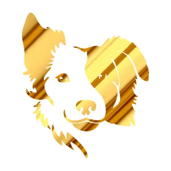 Polep vozidla SAMOLEPKA Pes 099 levá Border kolie (81 - chrom fólie zlatá zrcadlová) NA AUTO, NÁLEPKA, FÓLIE, POLEP, TUNING, VLASTNÍ TEXT, TISK, AUTOSAMOLEPKY.cz, POLEPY, OBRÁZEK, LOGO, SAMOLEPKY