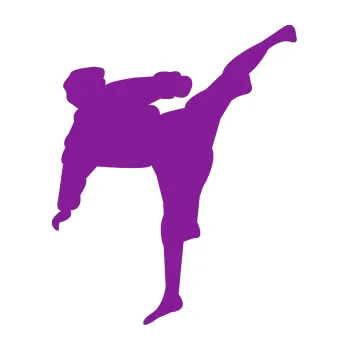 Polep vozidla Karate 009 pravá (14 - fialová) SAMOLEPKA NA AUTO, NÁLEPKA, FÓLIE, POLEP, TUNING, VLASTNÍ TEXT, TISK, AUTOSAMOLEPKY.cz, POLEPY, OBRÁZEK, LOGO, 3D STICKERS