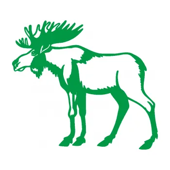 Samolepící dekorace SAMOLEPKA Los 005 levá (12 - zelená) NA AUTO, NÁLEPKA, FÓLIE, POLEP, TUNING, VLASTNÍ TEXT, TISK, AUTOSAMOLEPKY.cz, POLEPY, OBRÁZEK, LOGO, SAMOLEPKY