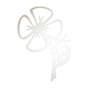 Samolepící dekorace Beruška na lístečku levá (82 - odrazková reflexní bílá) SAMOLEPKA NA AUTO, NÁLEPKA, FÓLIE, POLEP, TUNING, VLASTNÍ TEXT, TISK, AUTOSAMOLEPKY.cz, POLEPY, OBRÁZEK, LOGO, 3D STICKERS