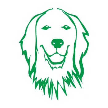 Polep vozidla Pes 085 pravá Retrívr (12 - zelená) SAMOLEPKA NA AUTO, NÁLEPKA, FÓLIE, POLEP, TUNING, VLASTNÍ TEXT, TISK, AUTOSAMOLEPKY.cz, POLEPY, OBRÁZEK, LOGO, 3D STICKERS