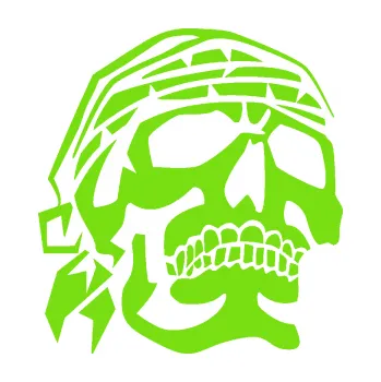 Samolepicí dekorace na vozidlo Lebka pirát pravá (04 - zelená kawasaki) SAMOLEPKA NA AUTO, NÁLEPKA, FÓLIE, POLEP, TUNING, VLASTNÍ TEXT, TISK, AUTOSAMOLEPKY.cz, POLEPY, OBRÁZEK, LOGO, 3D STICKERS