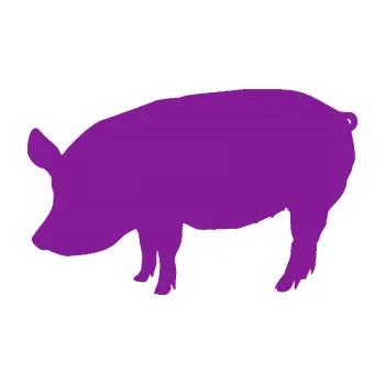 Samolepící dekorace Prase 001 levá (14 - fialová) SAMOLEPKA NA AUTO, NÁLEPKA, FÓLIE, POLEP, TUNING, VLASTNÍ TEXT, TISK, AUTOSAMOLEPKY.cz, POLEPY, OBRÁZEK, LOGO, 3D STICKERS