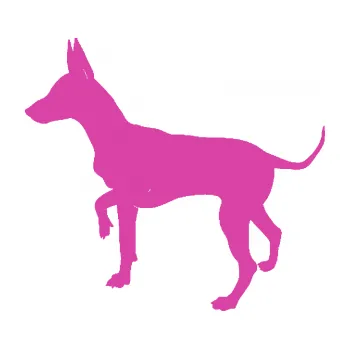 Polep vozidla SAMOLEPKA Pes 093 levá Pražský krysařík (16 - růžová) NA AUTO, NÁLEPKA, FÓLIE, POLEP, TUNING, VLASTNÍ TEXT, TISK, AUTOSAMOLEPKY.cz, POLEPY, OBRÁZEK, LOGO, SAMOLEPKY