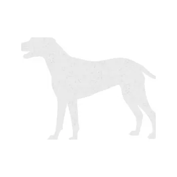 Polep vozidla SAMOLEPKA Pes 095 levá Dalmatin (84 - Ultra Metalic bílá) NA AUTO, NÁLEPKA, FÓLIE, POLEP, TUNING, VLASTNÍ TEXT, TISK, AUTOSAMOLEPKY.cz, POLEPY, OBRÁZEK, LOGO, SAMOLEPKY