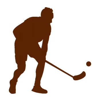 Samolepicí dekorace na vozidlo Florbal 002 pravá (15 - hnědá) SAMOLEPKA NA AUTO, NÁLEPKA, FÓLIE, POLEP, TUNING, VLASTNÍ TEXT, TISK, AUTOSAMOLEPKY.cz, POLEPY, OBRÁZEK, LOGO, 3D STICKERS