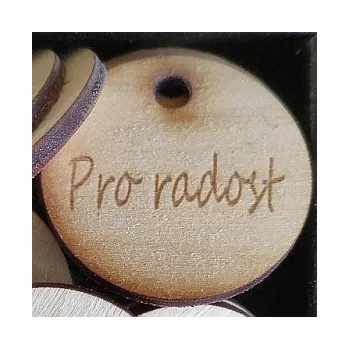 Dřevěný výřez kruh Pro radost 40x40mm