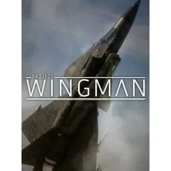 Počítačová hra Project Wingman PC