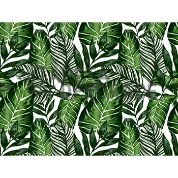 Tapeta Samolepící tapeta zelené listy pokojových rostlin a květin, šířka 67,5 cm, metráž 55790 / 14126 samolepicí fólie a tapety HOUSE PLANTS Venilia / Gekkofix