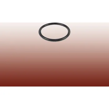 Instalatérský materiál O kroužek 26x2 mm k redukčnímu ventilu RVT PN 10 DN 15;20 a 25 - I5/156B