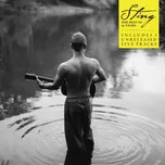 The Best Of 25 Years - Sting [CD]