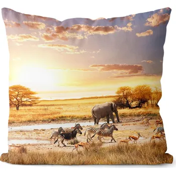 Dekorativní polštářek Polštář Safari 40x40 cm (Velikost: 40 x 40 cm)