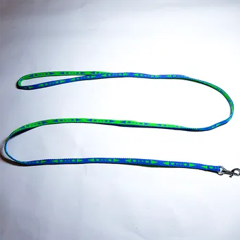 Vodítko pro psa Vodítko z popruhu 10 mm x 1,5 m (vzor) Barva: Modro-zelená