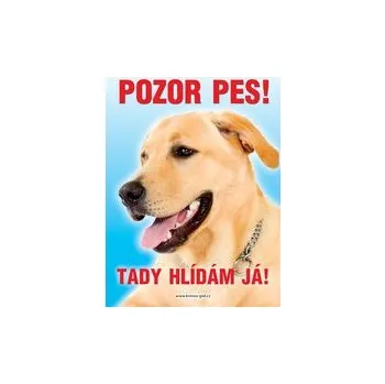 Grel nálepka pozor pes labrador světlý