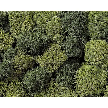 Modelová železnice NOCH 08610 mech světle zelená, tmavě zelená