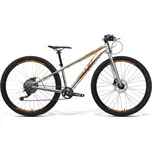 Amulet Youngster 1.10 27,5" Alu Brushed…