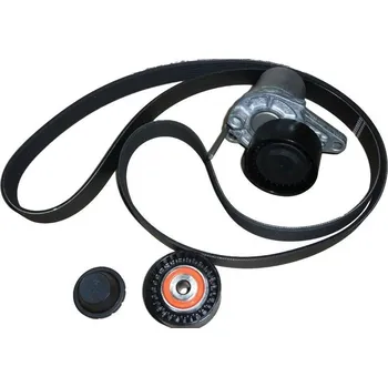 Sada klínového řemene Renault Trafic, Vivaro 2014-2019 1,6D, Talento 2016-2019 1,6D, 117209886R