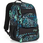 Topgal HIT 888 E green