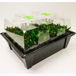 Nutriculture X-Stream 80