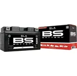 BS Battery SLA12-19 SLA 12V 18Ah 235A