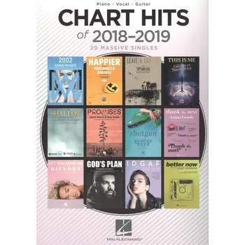 CHART HITS of 2018-2019 // klavír/zpěv/kytara