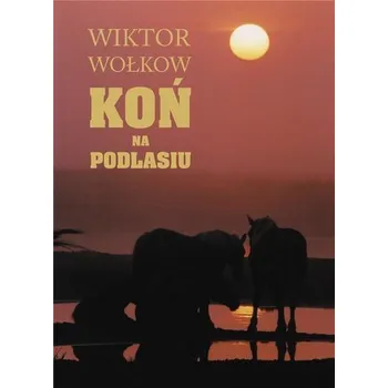 Cestování Koń na Podlasiu - WIKTOR WOŁKOW