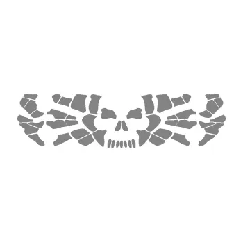 Samolepící dekorace SAMOLEPKA Pavouk 017 smrťák (17 - šedá) NA AUTO, NÁLEPKA, FÓLIE, POLEP, TUNING, VLASTNÍ TEXT, TISK, AUTOSAMOLEPKY.cz, POLEPY, OBRÁZEK, LOGO, SAMOLEPKY